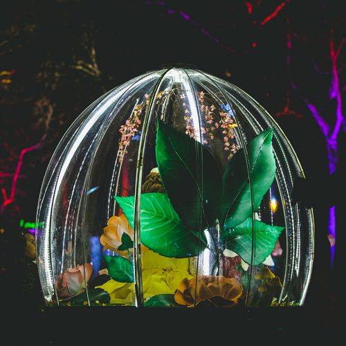Enchanted Flower Globe is an illuminated interactive attraction for festivals