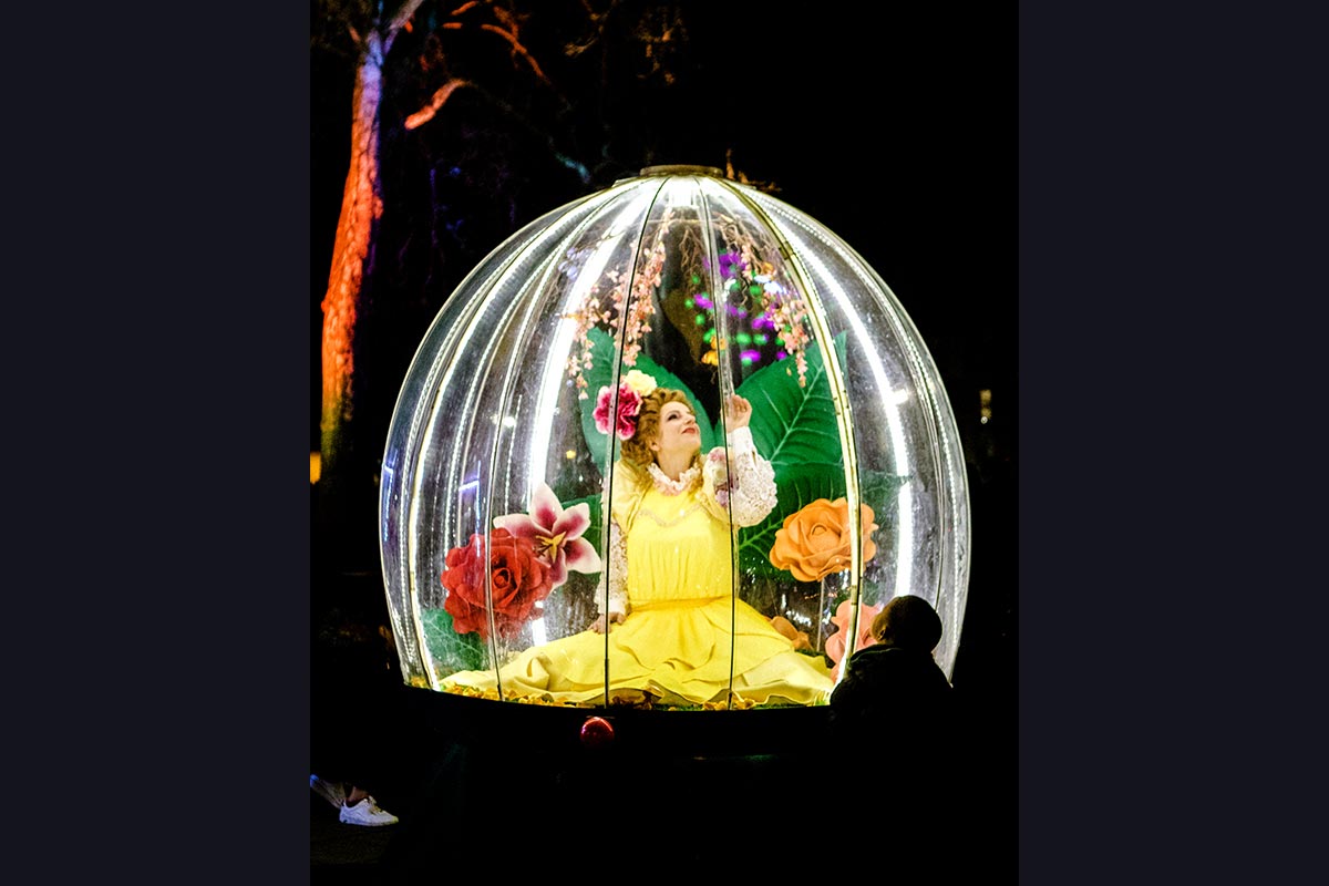 Illuminated flower themed act, Enchanted Flower Globe