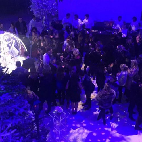 Living Snow Globe entertainment for weddings and civil ceremonies
