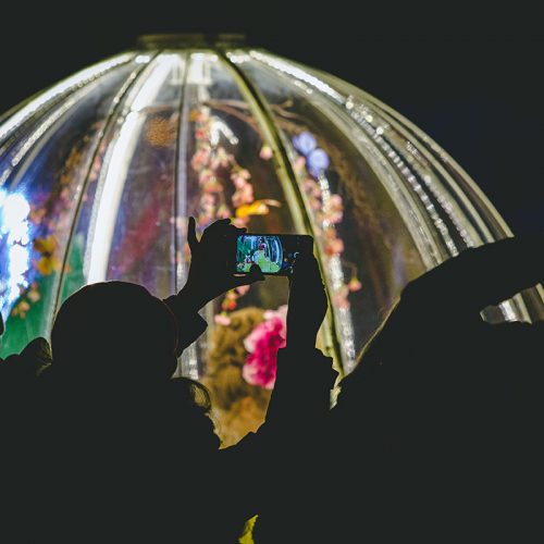 The Enchanted Flower Globe act is perfect for engaging audiences at festivals